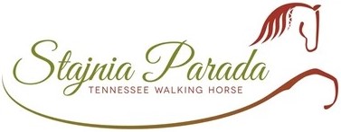 Stajniaparada